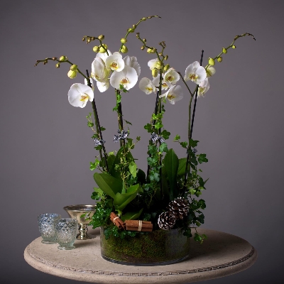 Luxury Orchid Bowl