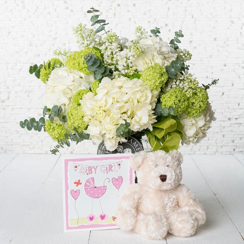 New Baby Girl Vase with Teddy & Gift Card