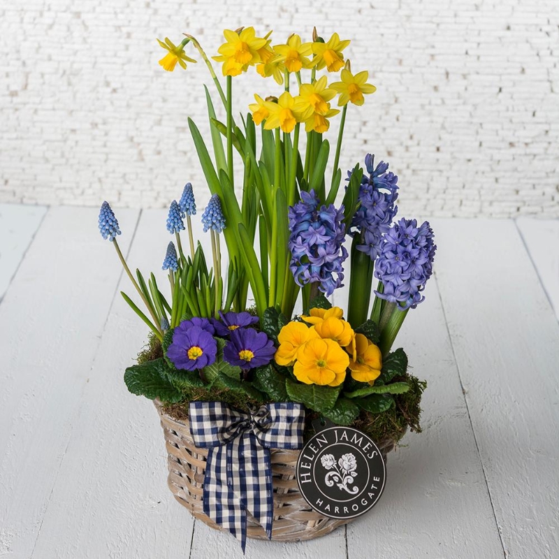Spring Planter