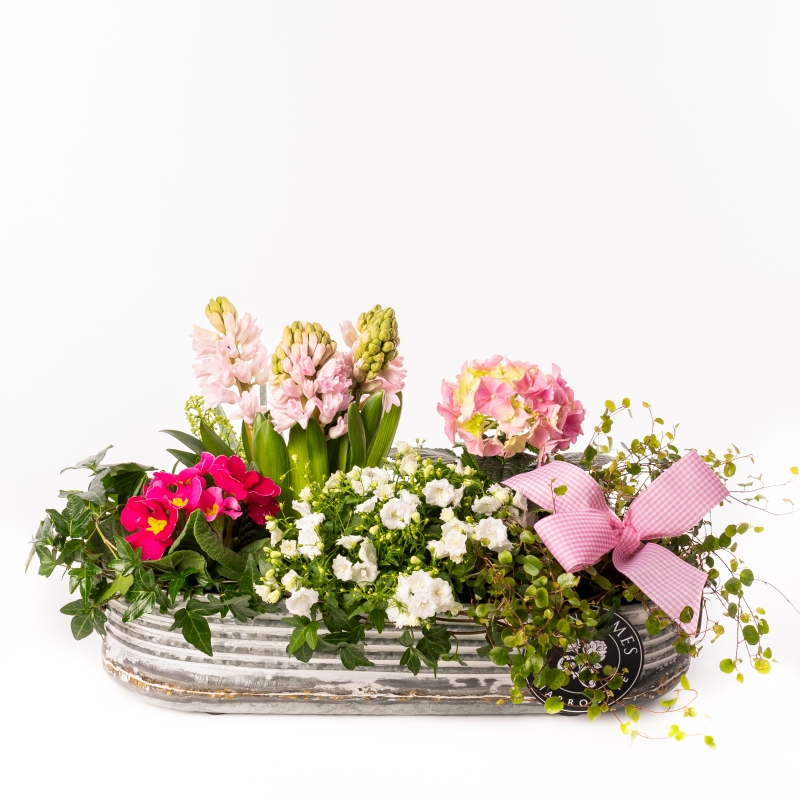 Planted Trough